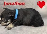 processed/9c22f5f0-198c-475a-9c00-7e3d005fc3fd/listing/af403b36-d02a-4b5a-bac9-ba542f9f565f/c424532f-7c74-4674-90d3-bded17f190bb