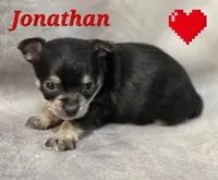 processed/9c22f5f0-198c-475a-9c00-7e3d005fc3fd/listing/af403b36-d02a-4b5a-bac9-ba542f9f565f/c9a4a355-0cb1-444f-b1fd-c674c104b2e6