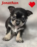 processed/9c22f5f0-198c-475a-9c00-7e3d005fc3fd/listing/af403b36-d02a-4b5a-bac9-ba542f9f565f/e64decae-b8c6-4226-8e82-f4b7fc0e642f