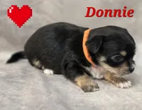 processed/9c22f5f0-198c-475a-9c00-7e3d005fc3fd/listing/b75322a6-a7b1-4539-858f-fcc37b64bdfc/0ff2cd61-64cb-43a5-876b-9e2a13e1f620