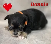 processed/9c22f5f0-198c-475a-9c00-7e3d005fc3fd/listing/b75322a6-a7b1-4539-858f-fcc37b64bdfc/21085dfb-34c4-468f-a95e-91673ba0f806