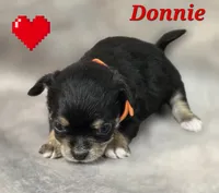 processed/9c22f5f0-198c-475a-9c00-7e3d005fc3fd/listing/b75322a6-a7b1-4539-858f-fcc37b64bdfc/2417cc49-de7b-4f19-ba56-9298ad2361ab