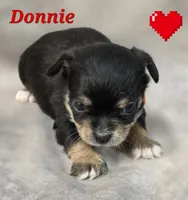 processed/9c22f5f0-198c-475a-9c00-7e3d005fc3fd/listing/b75322a6-a7b1-4539-858f-fcc37b64bdfc/34018bb9-a126-4abd-b888-6a9cface749e