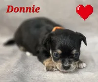 processed/9c22f5f0-198c-475a-9c00-7e3d005fc3fd/listing/b75322a6-a7b1-4539-858f-fcc37b64bdfc/37923fc3-5f55-430e-be96-5a40df7fc09a