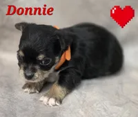 processed/9c22f5f0-198c-475a-9c00-7e3d005fc3fd/listing/b75322a6-a7b1-4539-858f-fcc37b64bdfc/adcae1eb-3444-4f94-b568-273074d26c51