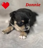 processed/9c22f5f0-198c-475a-9c00-7e3d005fc3fd/listing/b75322a6-a7b1-4539-858f-fcc37b64bdfc/b93c8f11-a084-4e36-8eba-f0403d6a6d32