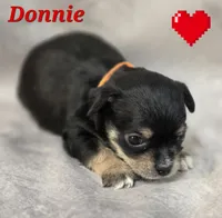 processed/9c22f5f0-198c-475a-9c00-7e3d005fc3fd/listing/b75322a6-a7b1-4539-858f-fcc37b64bdfc/bcbe45ff-9013-4871-920c-d6b9667b4197