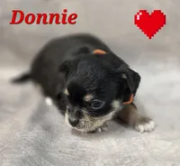 processed/9c22f5f0-198c-475a-9c00-7e3d005fc3fd/listing/b75322a6-a7b1-4539-858f-fcc37b64bdfc/c1bfc375-2599-4c80-99ef-fdae6db5f8b1