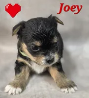 processed/9c22f5f0-198c-475a-9c00-7e3d005fc3fd/listing/f8b17d30-d602-469d-9b78-4d66afa3d70d/2cf0c228-0f6c-4ed4-8def-ccd4b66546ef