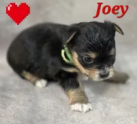 processed/9c22f5f0-198c-475a-9c00-7e3d005fc3fd/listing/f8b17d30-d602-469d-9b78-4d66afa3d70d/50334cb6-382a-4eb5-9652-ca1c8af570c5