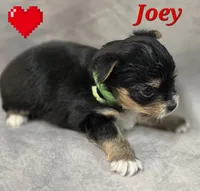 processed/9c22f5f0-198c-475a-9c00-7e3d005fc3fd/listing/f8b17d30-d602-469d-9b78-4d66afa3d70d/9edc645e-e51a-4f96-96df-8f74a4754dd0