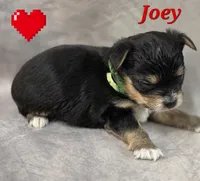 processed/9c22f5f0-198c-475a-9c00-7e3d005fc3fd/listing/f8b17d30-d602-469d-9b78-4d66afa3d70d/bd9e2710-ce60-4eb3-92ea-d1a09c3cfd89