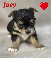 processed/9c22f5f0-198c-475a-9c00-7e3d005fc3fd/listing/f8b17d30-d602-469d-9b78-4d66afa3d70d/d239d5cc-5fd5-4a5d-b457-63f71527c1c3