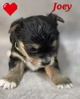 processed/9c22f5f0-198c-475a-9c00-7e3d005fc3fd/listing/f8b17d30-d602-469d-9b78-4d66afa3d70d/ec4ff5ce-919c-4496-971c-75bb92fdfda7