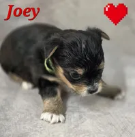 processed/9c22f5f0-198c-475a-9c00-7e3d005fc3fd/listing/f8b17d30-d602-469d-9b78-4d66afa3d70d/f3595835-b06f-4fd7-84e1-05007909dbe2