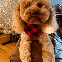 processed/9c2d9b38-5b78-48d5-ad42-e9ed0678fba7/facility/e1c345cd-f4f4-4e63-8a14-f1247def9f2f