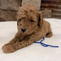 processed/9c2d9b38-5b78-48d5-ad42-e9ed0678fba7/listing/57d26a5a-4bcb-4909-bfda-faccf5df0ba4/8e55f424-e358-4db9-97db-476f3283cea4