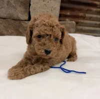 processed/9c2d9b38-5b78-48d5-ad42-e9ed0678fba7/listing/57d26a5a-4bcb-4909-bfda-faccf5df0ba4/a415641e-9544-4912-ae76-08b8951d6806