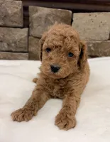 processed/9c2d9b38-5b78-48d5-ad42-e9ed0678fba7/listing/57d26a5a-4bcb-4909-bfda-faccf5df0ba4/b4b5da6e-32f3-4712-9de4-dd20f13c61fc