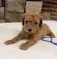 processed/9c2d9b38-5b78-48d5-ad42-e9ed0678fba7/listing/57d26a5a-4bcb-4909-bfda-faccf5df0ba4/c3a9766c-d780-423c-a477-d277b825b495