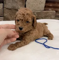 processed/9c2d9b38-5b78-48d5-ad42-e9ed0678fba7/listing/57d26a5a-4bcb-4909-bfda-faccf5df0ba4/cce86da2-ff16-48ed-ab87-6568eddb4662