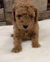 processed/9c2d9b38-5b78-48d5-ad42-e9ed0678fba7/listing/57d26a5a-4bcb-4909-bfda-faccf5df0ba4/d0670420-f497-4027-b472-5becaa711e5d