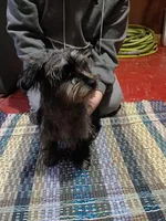 processed/9c313587-3b1b-4393-a55a-e2e0bdaaa6b8/listing/61a53279-0b81-40b4-a58e-2bf555e411bf/1f4fd36e-1666-4052-a647-107efbbae34e