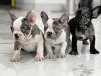 processed/9c317893-250e-4702-a2b6-7b7be8ceb8cf/facility/205c5538-43c3-4439-802e-f24169ffb8d5