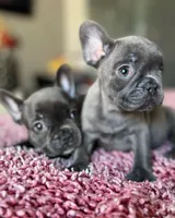 processed/9c317893-250e-4702-a2b6-7b7be8ceb8cf/facility/449a27c1-ef89-4b08-8ca1-099b8ed86c4a