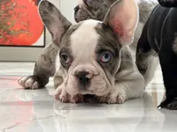 processed/9c317893-250e-4702-a2b6-7b7be8ceb8cf/facility/67d2bbf3-9a31-4685-9df6-ed7ff4c501d7