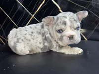 processed/9c317893-250e-4702-a2b6-7b7be8ceb8cf/listing/f5e0d7b3-850b-42ef-968a-1fcde5075c7c/0e2339c6-b6ac-4737-bf15-edde696b335a