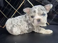 processed/9c317893-250e-4702-a2b6-7b7be8ceb8cf/listing/f5e0d7b3-850b-42ef-968a-1fcde5075c7c/21c28430-e55c-444a-a39b-13785c18f24e