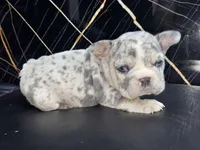 processed/9c317893-250e-4702-a2b6-7b7be8ceb8cf/listing/f5e0d7b3-850b-42ef-968a-1fcde5075c7c/98133c99-b570-4422-b2a6-5ecd0c70cbc6