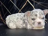 processed/9c317893-250e-4702-a2b6-7b7be8ceb8cf/listing/f5e0d7b3-850b-42ef-968a-1fcde5075c7c/9a31e255-6d68-4586-be98-6b10409d61b3