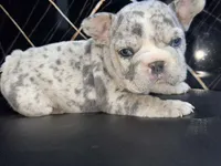 processed/9c317893-250e-4702-a2b6-7b7be8ceb8cf/listing/f5e0d7b3-850b-42ef-968a-1fcde5075c7c/9b609a17-a173-4f9a-913b-d7031fa42618