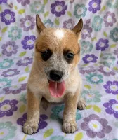 Blaze , a female Australian Cattle Dog for sale in Mesa, AZ – 2 of 9