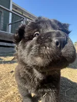 processed/9c3eeb91-7ae1-4d88-a582-544a9b2236d5/listing/1af835f8-4ccc-4144-97a3-5de030b66503/0b452f33-4cd4-4537-ac00-8471ebf23a61