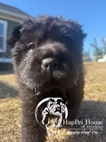 processed/9c3eeb91-7ae1-4d88-a582-544a9b2236d5/listing/1af835f8-4ccc-4144-97a3-5de030b66503/0d730acb-3a4a-457a-81ee-6e006994a375