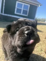 processed/9c3eeb91-7ae1-4d88-a582-544a9b2236d5/listing/1af835f8-4ccc-4144-97a3-5de030b66503/4131145d-e6d7-4a4b-9b28-ec125a8534ba