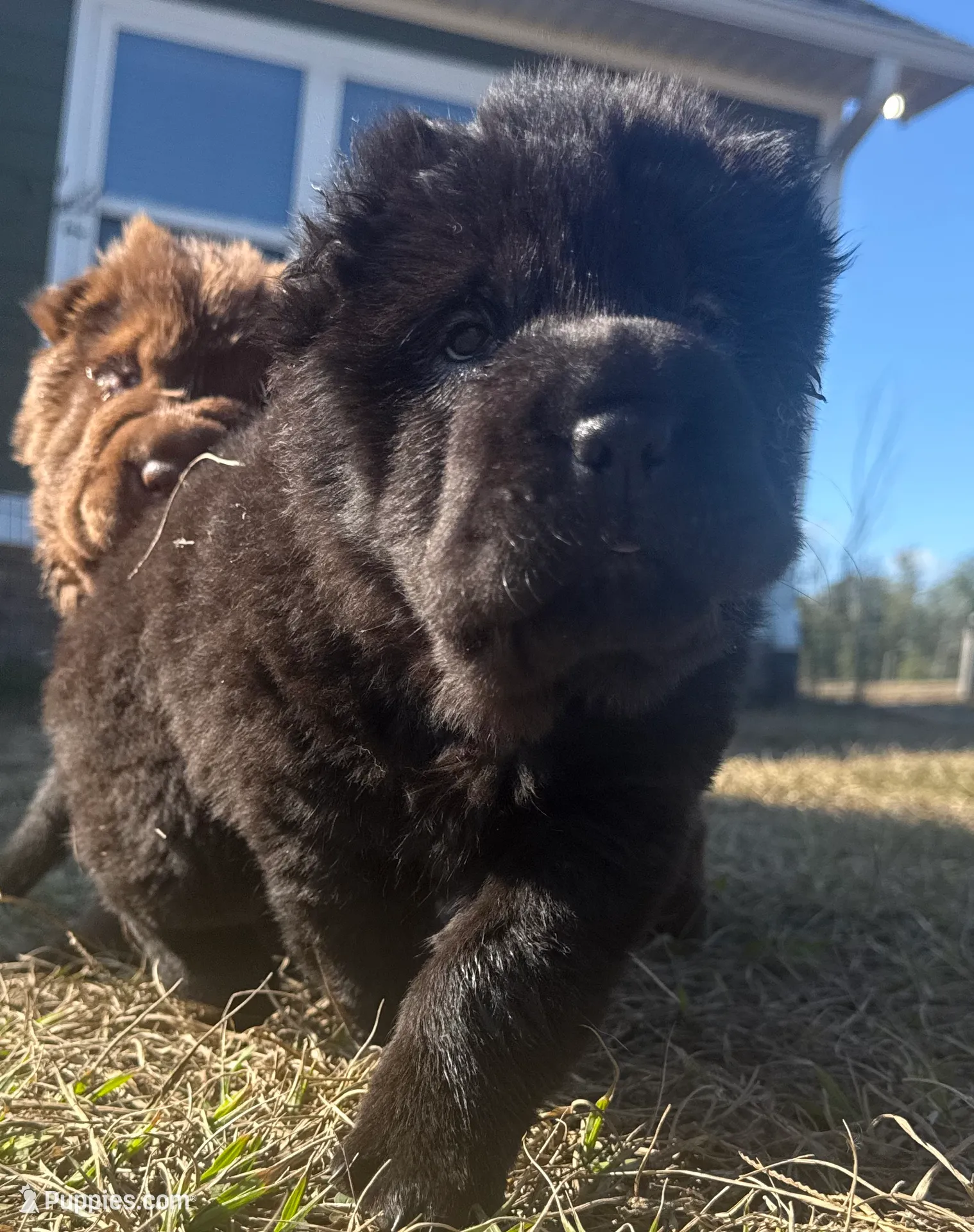 processed/9c3eeb91-7ae1-4d88-a582-544a9b2236d5/listing/1af835f8-4ccc-4144-97a3-5de030b66503/d53c13cd-b5b6-43c5-bee6-fa5a61201ece