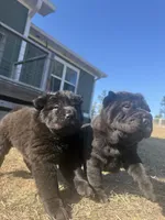 processed/9c3eeb91-7ae1-4d88-a582-544a9b2236d5/listing/1af835f8-4ccc-4144-97a3-5de030b66503/d6e4904a-aad4-4430-93dc-44ecfabc2407