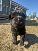 processed/9c3eeb91-7ae1-4d88-a582-544a9b2236d5/listing/4e3eca1b-e84d-458e-a558-3f9c0ff36fc1/a692d7d7-6fc9-4363-8d34-10cf9694fbcc