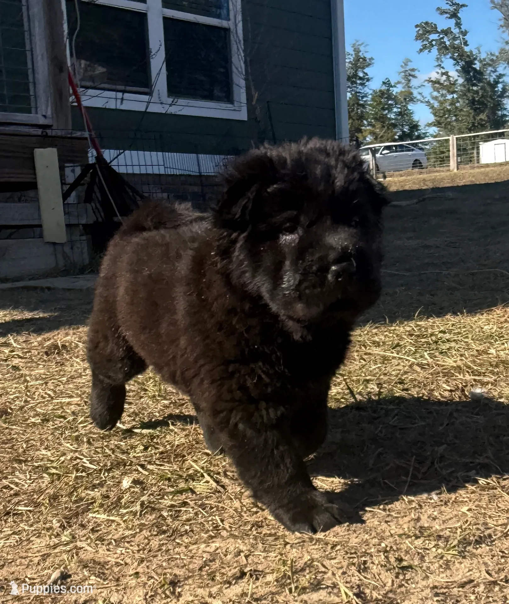 processed/9c3eeb91-7ae1-4d88-a582-544a9b2236d5/listing/4e3eca1b-e84d-458e-a558-3f9c0ff36fc1/d0a36aa3-f9af-453a-80e5-72bd32eb92b6