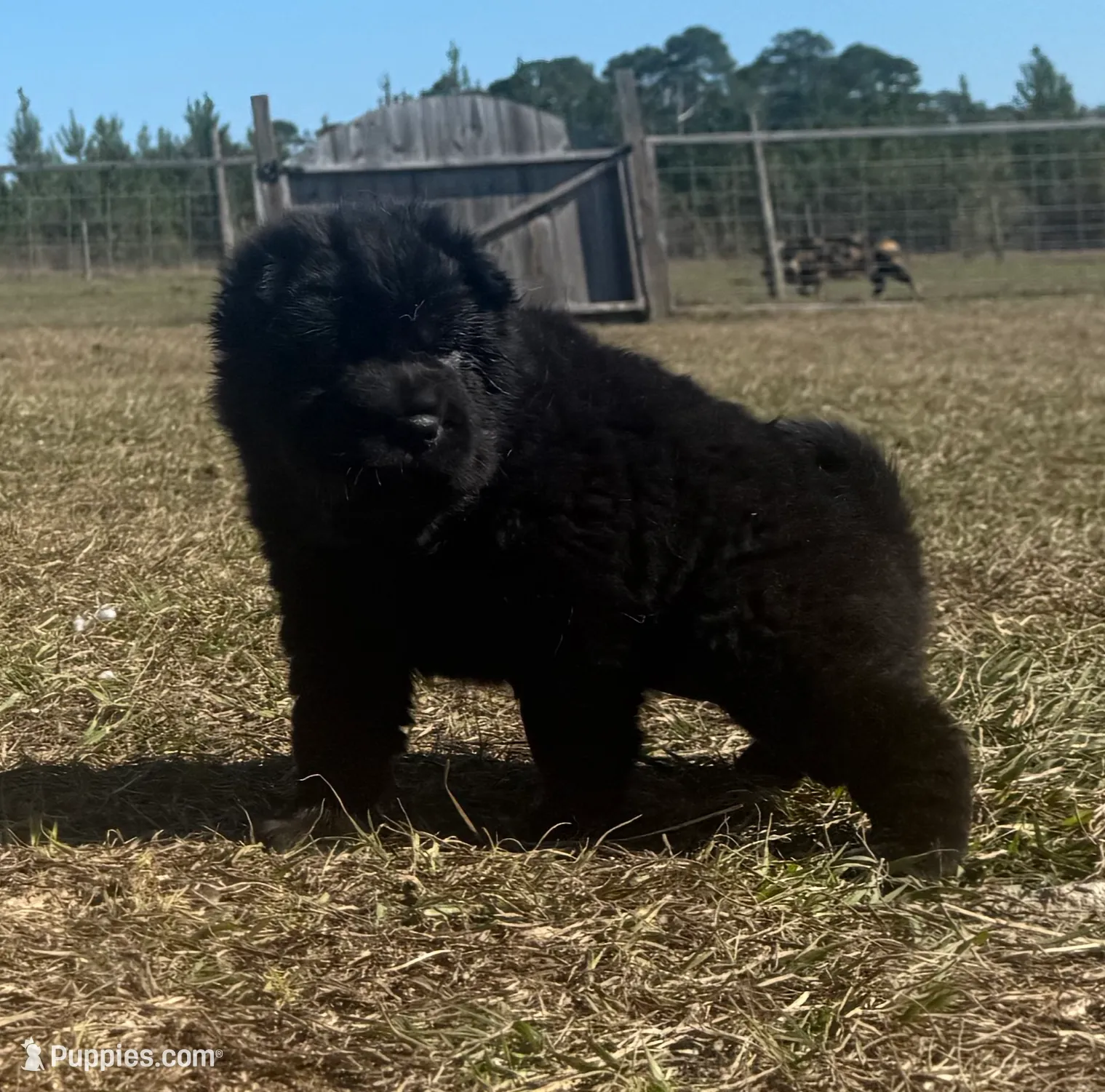 processed/9c3eeb91-7ae1-4d88-a582-544a9b2236d5/listing/4e3eca1b-e84d-458e-a558-3f9c0ff36fc1/e4c95eef-0e00-45ae-ab34-41dc015afa89