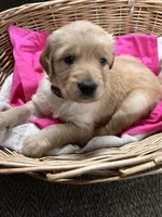 processed/9c3fc28a-c726-4104-98c7-ff01b06a4fd3/listing/04746067-4059-4dc4-b248-08b91de97833/390056a7-39ea-49b9-9919-ce16a68c4758