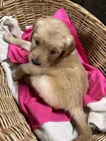 processed/9c3fc28a-c726-4104-98c7-ff01b06a4fd3/listing/04746067-4059-4dc4-b248-08b91de97833/62933969-b4af-411f-813a-dcae32f759fd