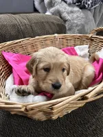 processed/9c3fc28a-c726-4104-98c7-ff01b06a4fd3/listing/04746067-4059-4dc4-b248-08b91de97833/a98962ba-92a9-4f13-a791-001ca5f09fcb