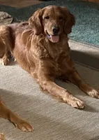 processed/9c3fc28a-c726-4104-98c7-ff01b06a4fd3/listing/04746067-4059-4dc4-b248-08b91de97833/ecc54cfb-4832-4312-8842-6765afcd72fd