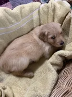 processed/9c3fc28a-c726-4104-98c7-ff01b06a4fd3/listing/59aa7759-9daa-45b4-98d7-5cd49bdec454/aedc10af-6d46-437a-8fba-bddaa837ae7a