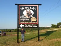 MALE READY IN JULY, a male German Shepherd Dog for sale in Stockton, MO – 4 of 8